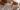 wona concept top wedding dresses main